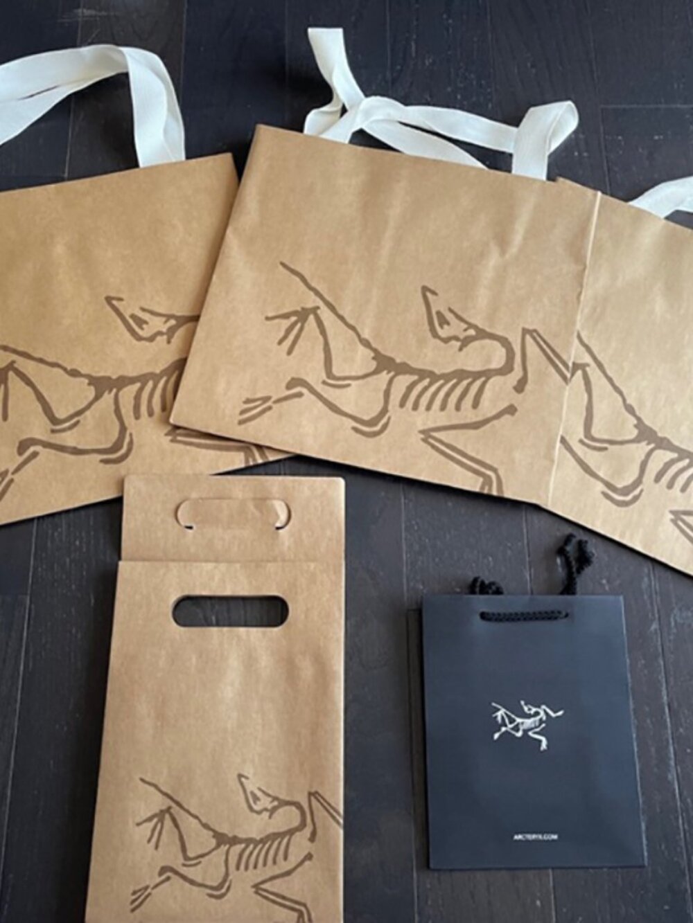 Arc'teryx RARE holiday Brown beige Paper Shopping Bag limited edition arcteryx